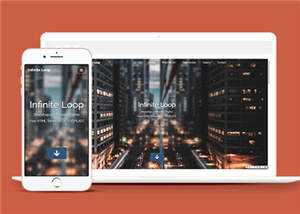 业务团队案例展示网页模板下载 - 项目资源网