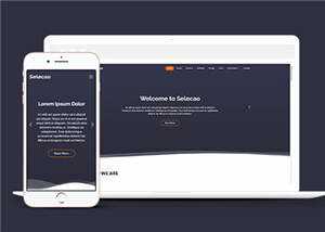 简约业务团队动态响应式网页模板下载 - 项目资源网