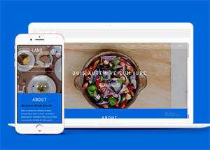 大气美食制作类网站模板下载 - 项目资源网