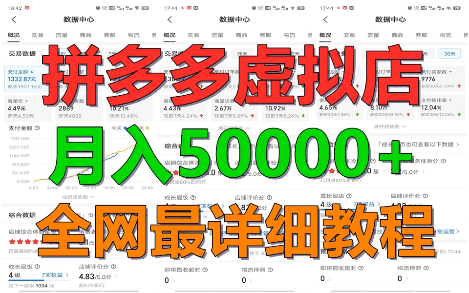 拼多多虚拟电商月入50000+你干你也行，暴利稳定长久，副业首选 - 项目资源网