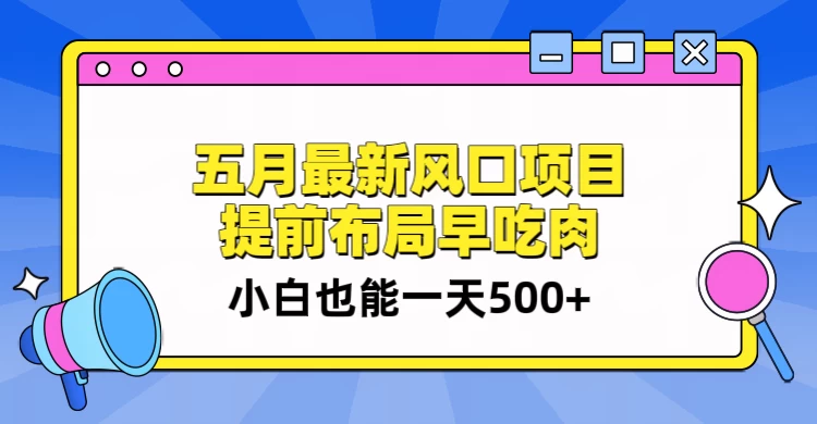 5月最新风口项目，提前布局早吃肉，小白也能一天暴利500+ - 项目资源网