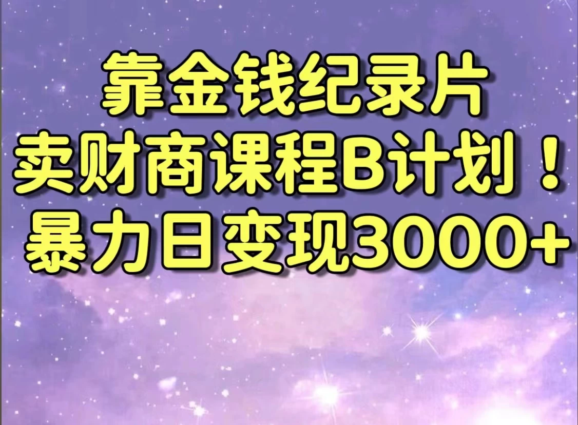 靠金钱纪录片卖财商课程，暴力日变现3000+，喂饭级干货教学！！ - 项目资源网