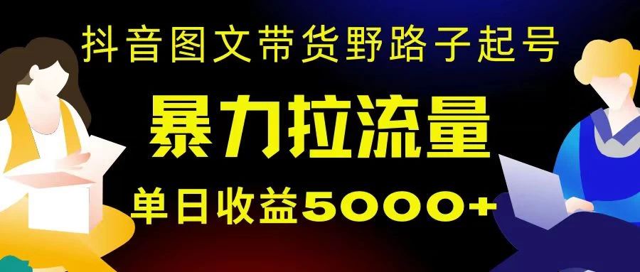 抖音图文带货暴力起号，单日收益 5000+，野路子玩法，简单易上手，一部手机即可 - 项目资源网