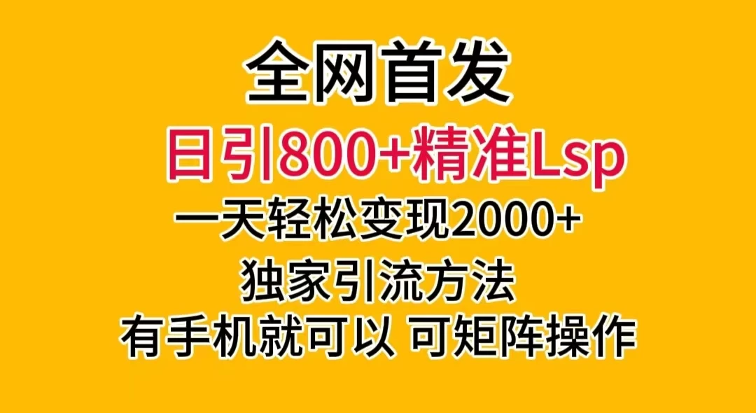 日引 800+ 精准老色批，一天变现 2000+，独家引流方法，可矩阵操作，月入 5W+ - 项目资源网